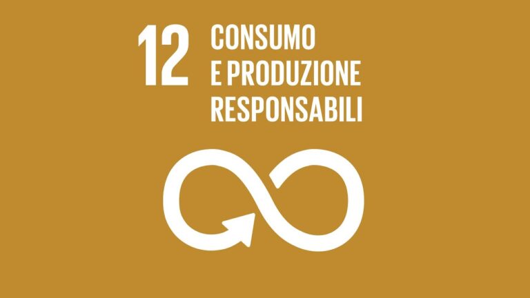 Obiettivo 12 dell&#8217;Agenda 2030: La spiegazione essenziale per un futuro sostenibile